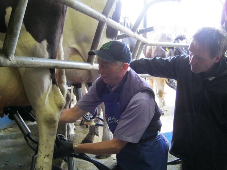 Read more about the article Article: Proper Milking Routine – Less Strain, More Efficiency