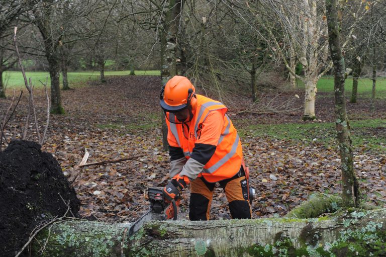 Read more about the article Safe Use Of Chainsaws Is Of Utmost Importance