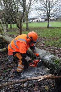 chainsaw-safety-training